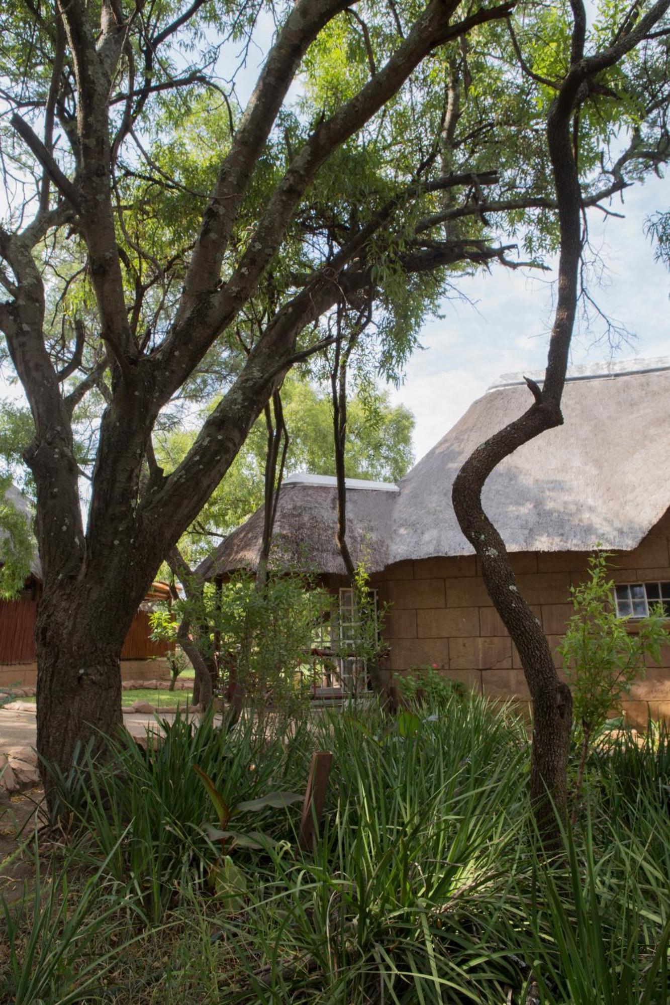 Zebra Nature Reserve Cullinan Bagian luar foto